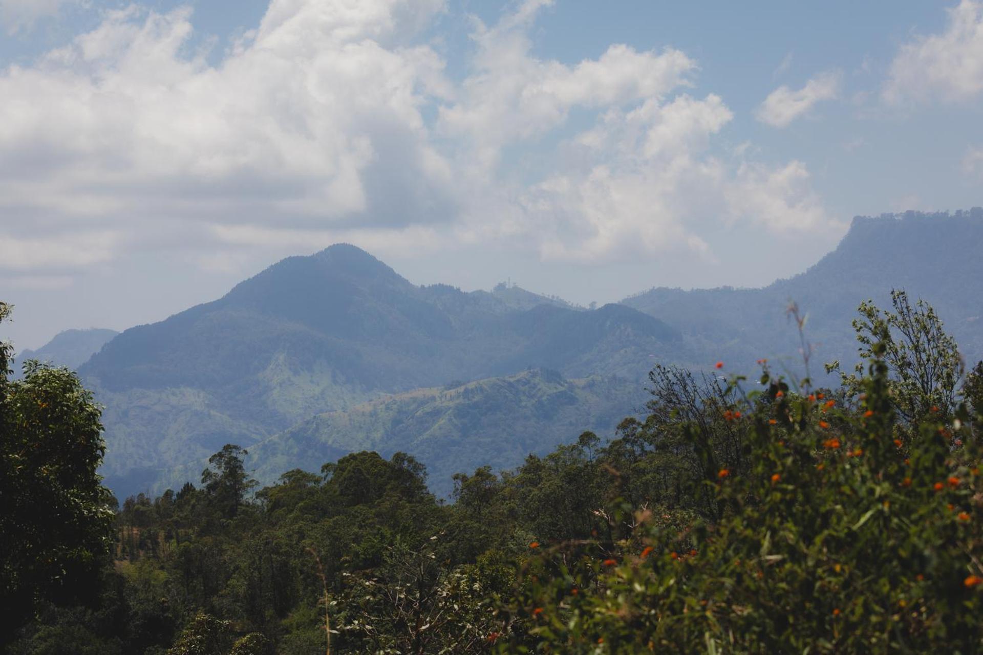 Ella Mountain Palace Luaran gambar