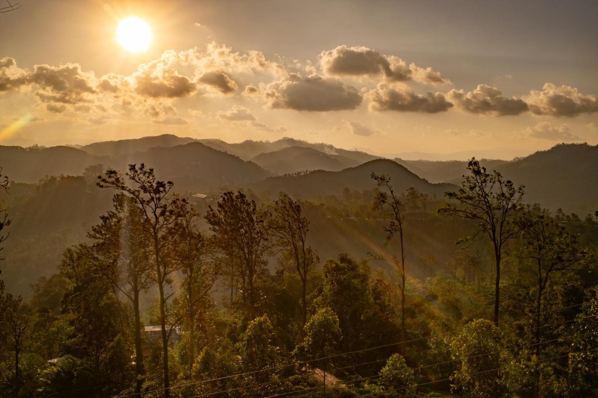 Ella Mountain Palace Luaran gambar