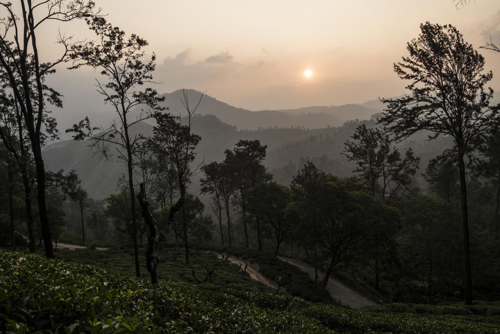 Ella Mountain Palace Luaran gambar